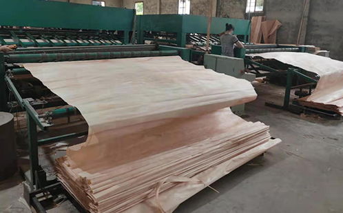 臨沂奧古曼單板加工廠