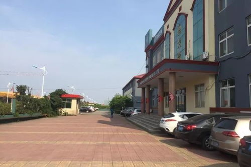 廠區拍賣 多家追債 東營又一輪胎廠危在旦夕