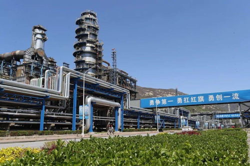 燕山石化協調推進煉油清潔化改造項目群建設